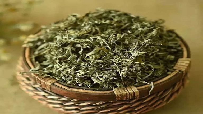 干艾叶煮水