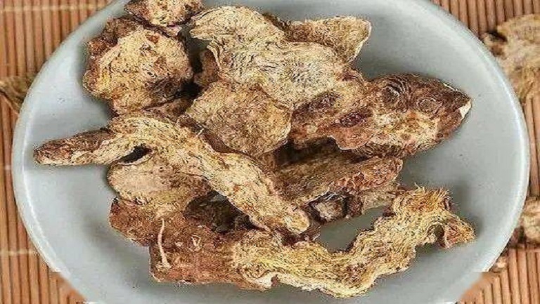 炒苍术