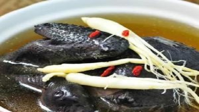 人参乌鸡汤