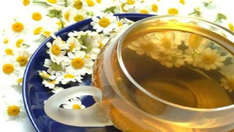 菊花苦丁茶