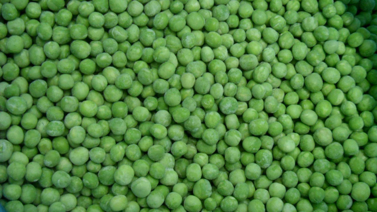 青豆