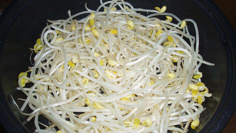 豆芽菜