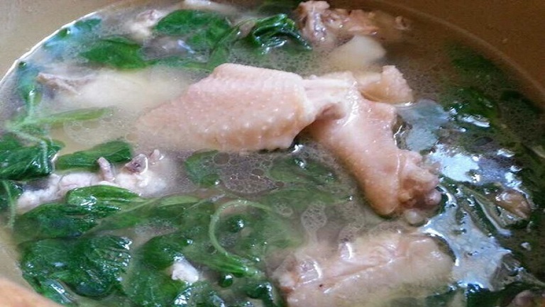 薄荷鸡汤