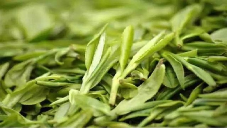 西湖龙井茶