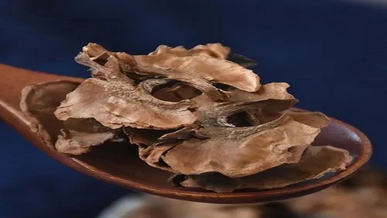 隔心木