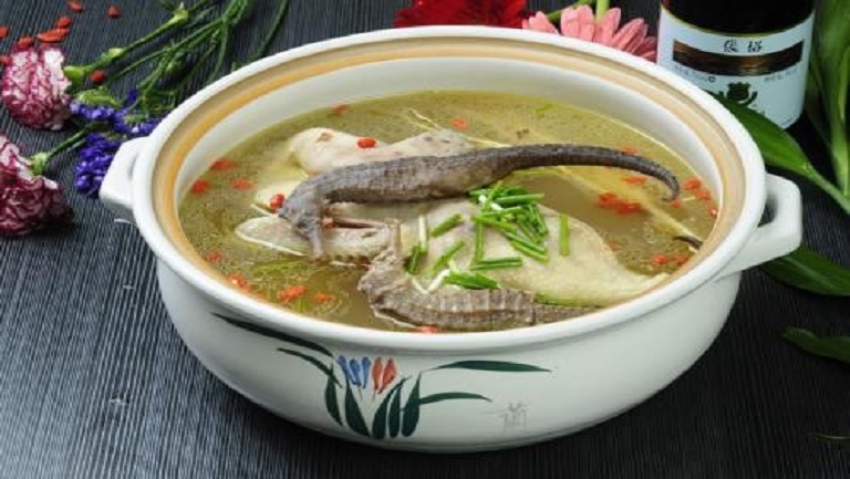 海马汤