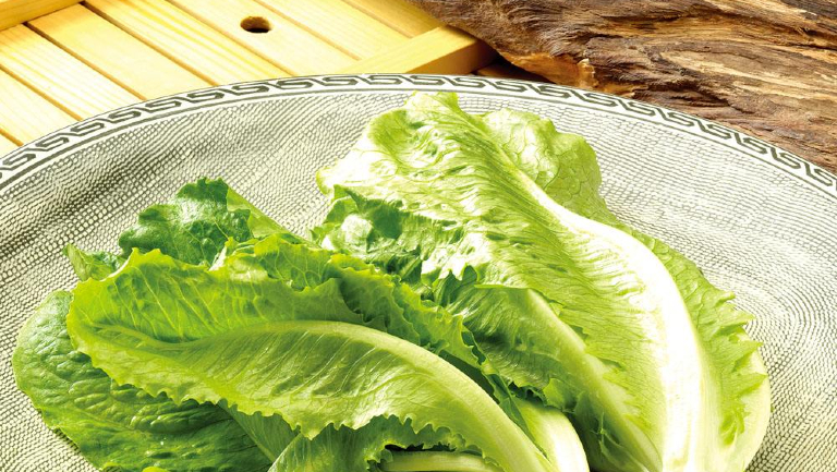 生菜