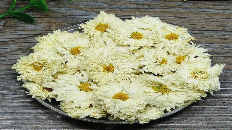 贡菊