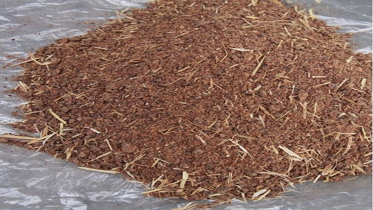 茶麸