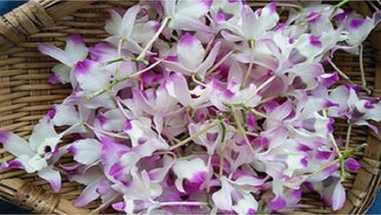 金钗石斛花