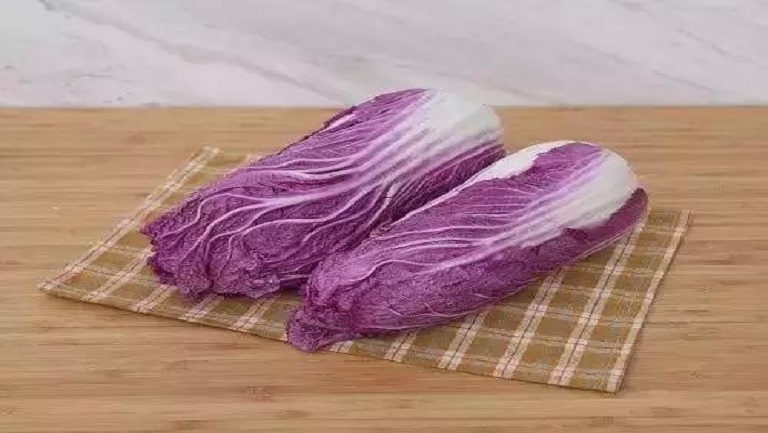 紫白菜
