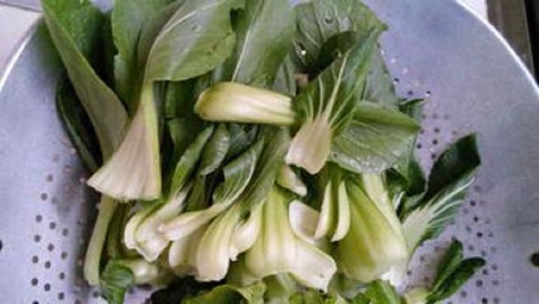 勺菜