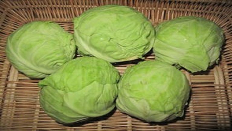 包包菜