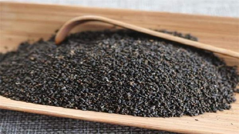 虫屎茶
