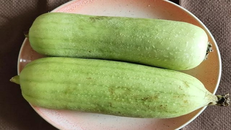 棱角瓜