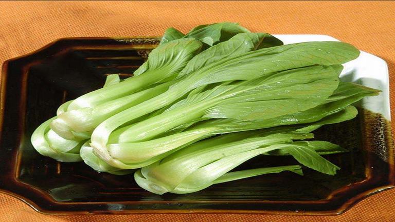 青油菜