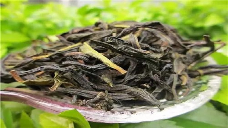 凤凰单丛