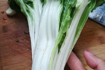 泥白菜