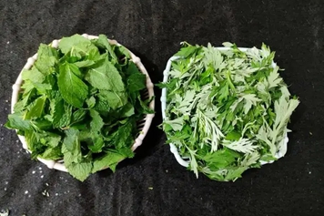 薄荷和艾草一起煮