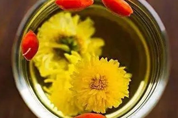 藏红花菊花枸杞子泡水