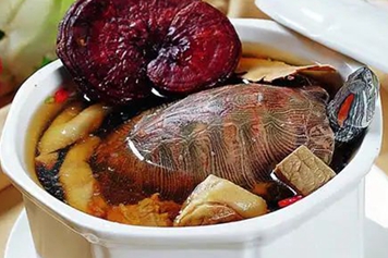 草龟土茯苓汤