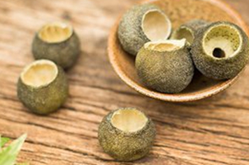 茶壳