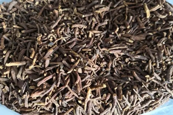 茶叶根
