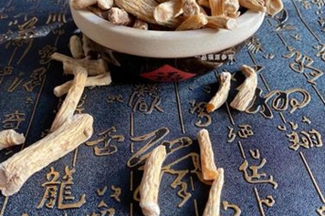 大力参