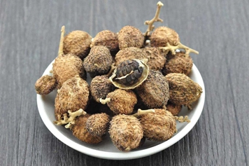 春砂仁茶