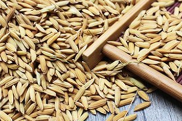 带壳谷子煮水