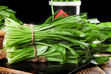 刺芫荽