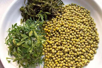 臭草煲绿豆水