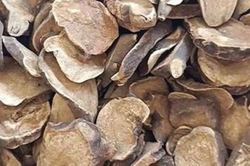 炒附子