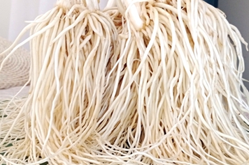 大韭菜根