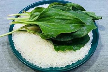 车前草和大米一起炒