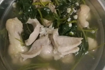 车前草炖猪肚