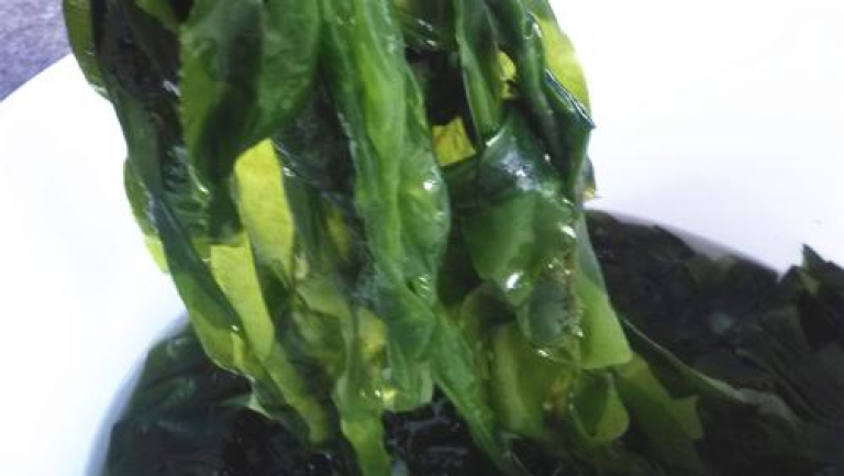 海芹菜