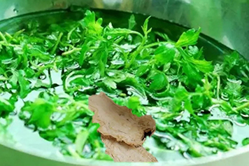 艾叶加当归煮水喝