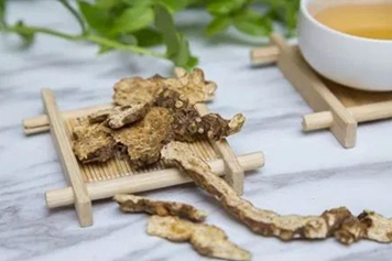 泡苍术