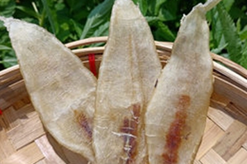 大口赤嘴鱼胶