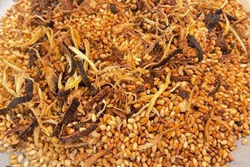 炒米加陈皮泡水喝