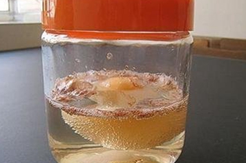 蛋泡醋