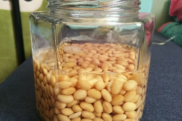 醋泡豆子
