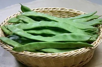 扁芸豆