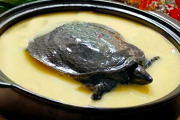 鳖肉