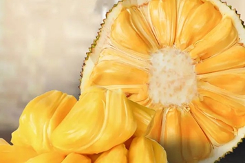 水果菠萝蜜