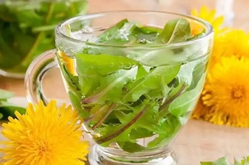 黄花苗水