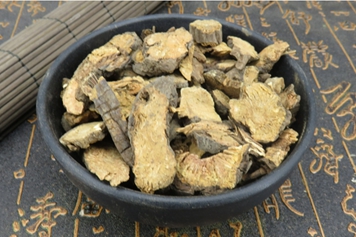 黑地榆